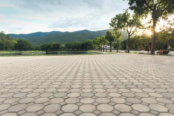 Commercial Driveway Pavers in Kingsville, TX