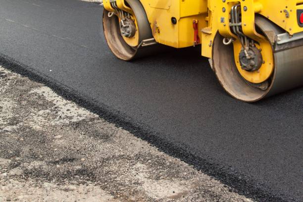 Best Custom Driveway Pavers  in Kingsville, TX